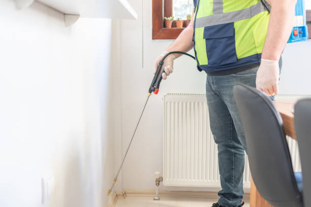 Best Rat Extermination Near Me  in New Britain, CT